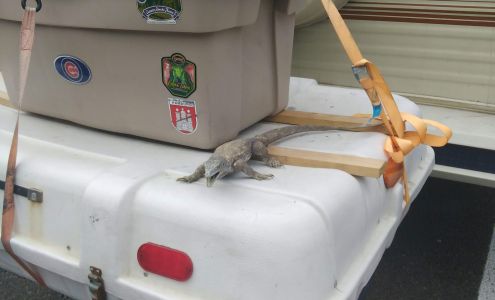 West Coast Auto Body