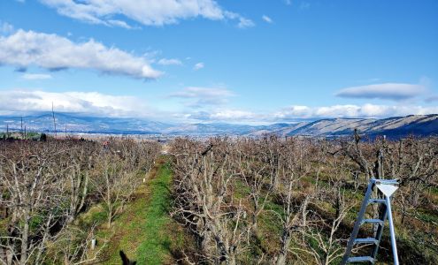 Hood River Quick Lube