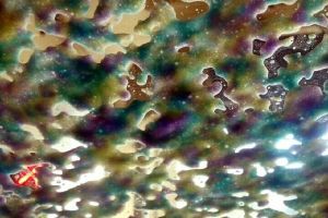 Auto Suds Car Wash Bingen