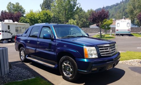 Meticulous Auto Detailing