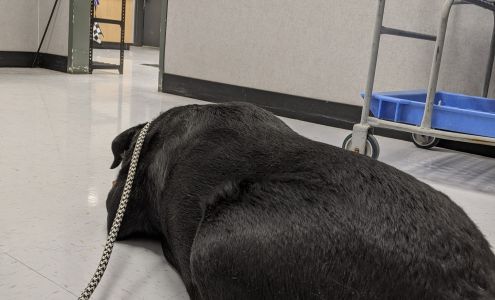 Walmart Auto Care Centers Rhinelander