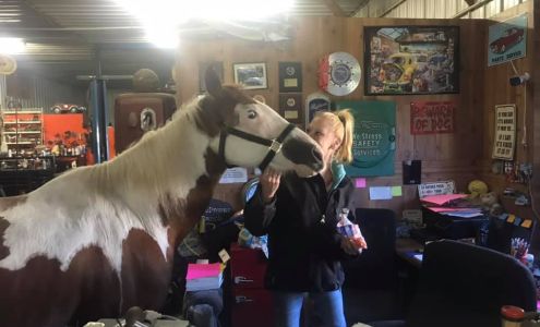 Horse Power Ranch Rhinelander