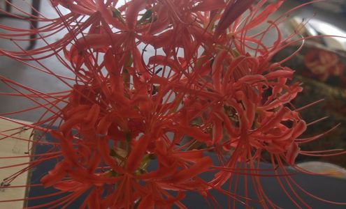 Motor Parts Belhaven - Auto Value Store Belhaven