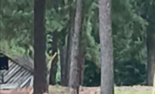 Classic Coach Auto Body and Restorations