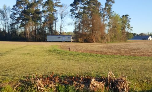 Allen Moore Garage Harrells