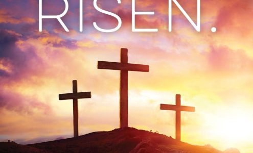 Synergy Motor Car Company