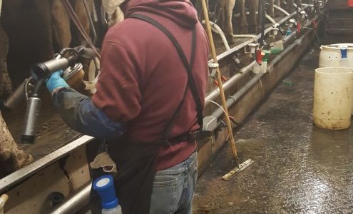 Scott Auto Body & Sales Perry