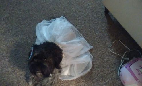 Clark-Brant Garage Inc Angola