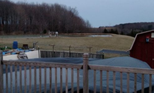 Ed Carley Motor Sports Freedom