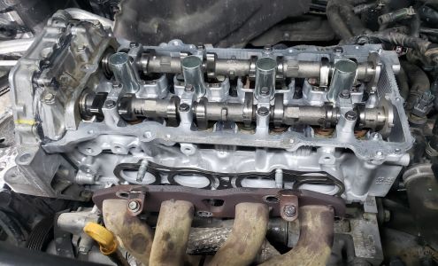 Mastiff Mechanic Automotive Service