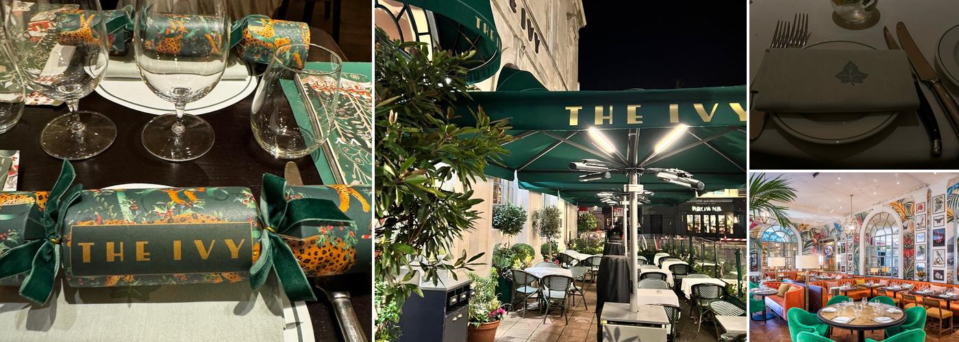 The Ivy In The Lanes