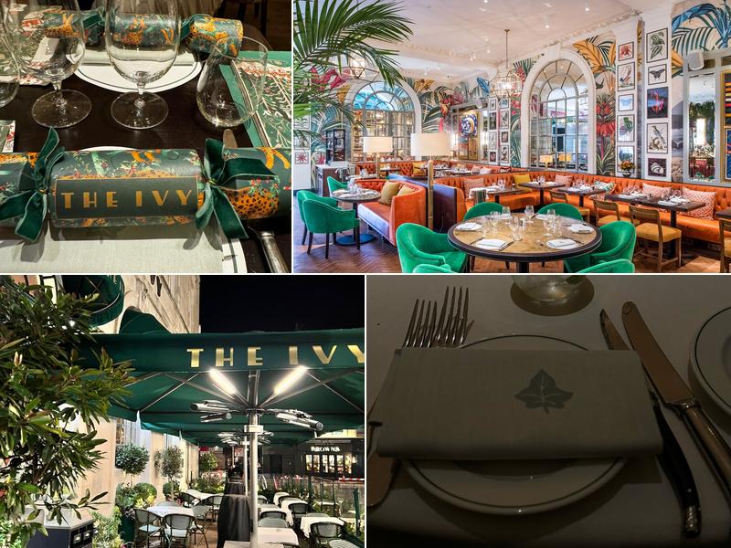 The Ivy In The Lanes