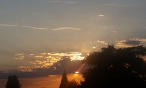 Uptown Service Malin