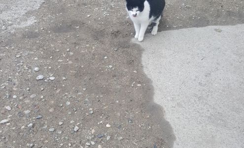 Big Horn Body Shop & Towing