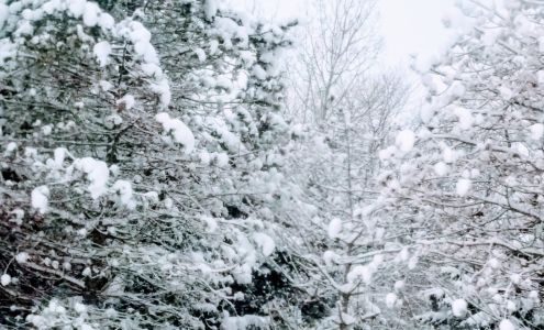 Butch's Auto Paint & Supply Hastings