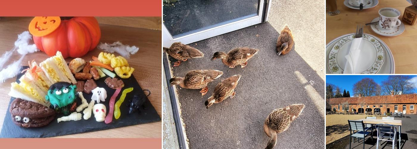 The secret garden tearooms