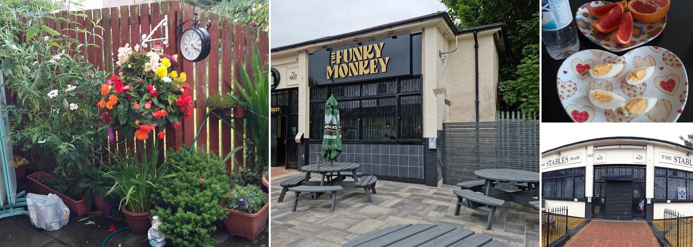 funky monkey(the old stables bar)