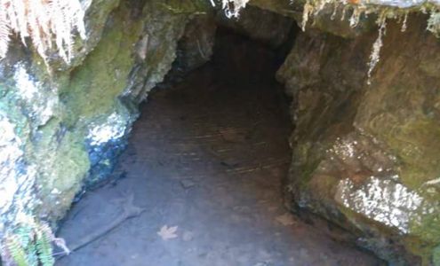 C & R Repair Services