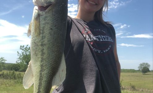 Bad Boy Motor Sports Davis