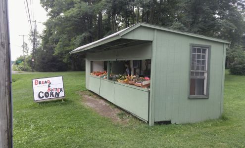Aurora Collision South Wales