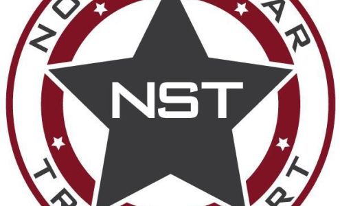 North Star Auto Transport Raymondville