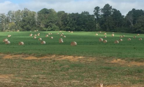 Big Willie's Barn & Garage Hayden