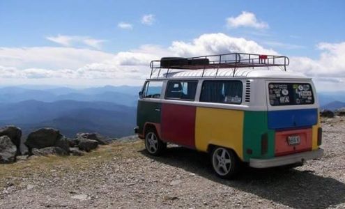 Reggie's Repair & Salvage VW/Audi