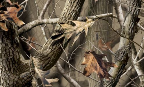 Jordan Tire Hatfield