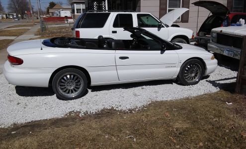 Willdogs mobile garage