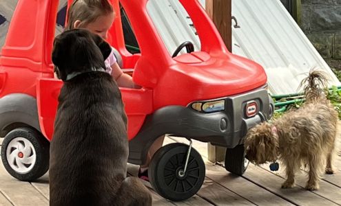 Bailey Brothers Collision Repair