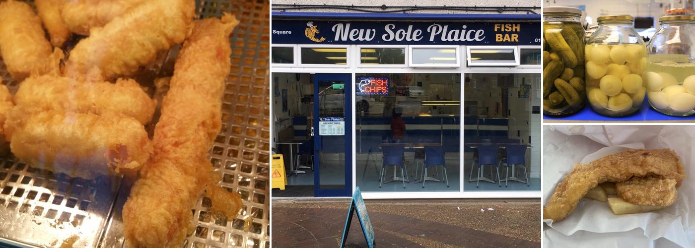 New Sole Plaice