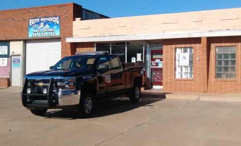 Elite Bulldog Auto Detail