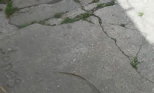 B & L Auto Repair & Wrecker Kiowa