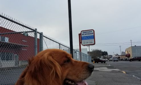 Ted's Transmission Services