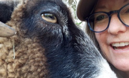 HeartSong Reiki Stockbridge