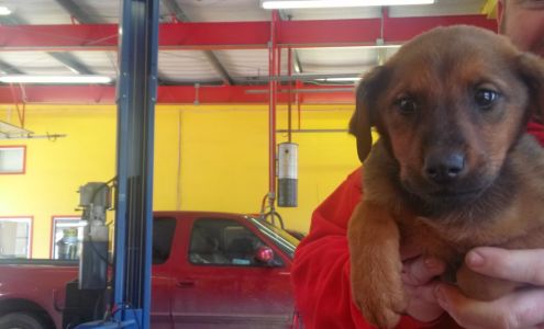 Kwik Kar Lube & Tune