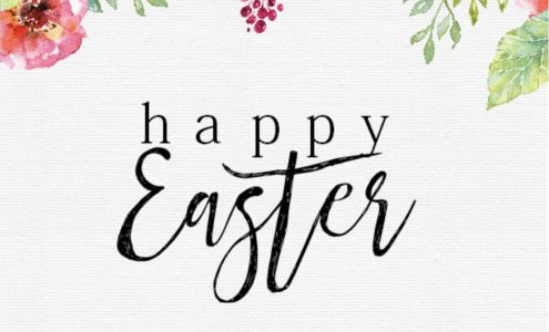 Auto Shawp Llc Trenton