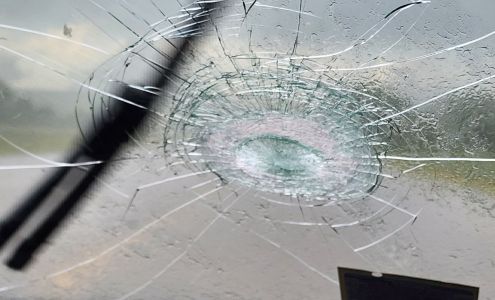 NOVUS Glass of Gillette