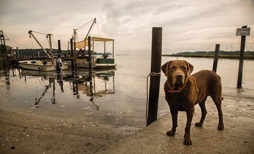 International Auto Service