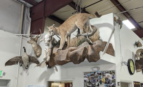 NAPA Auto Parts - Dyna Parts LLC Battle Mountain