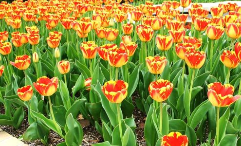 Dean's Automotive Waynoka