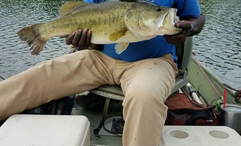 Chesser's Auto Salvage 4721 Honoraville Rd, Honoraville Alabama 36042