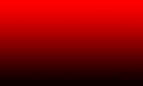 Neil's Body Shop Inc