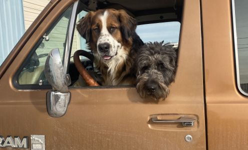 Eagle Automotive Page