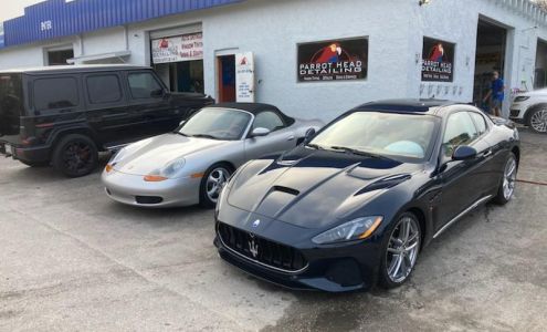 Parrot Head Detailing