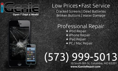 iGenie Repair