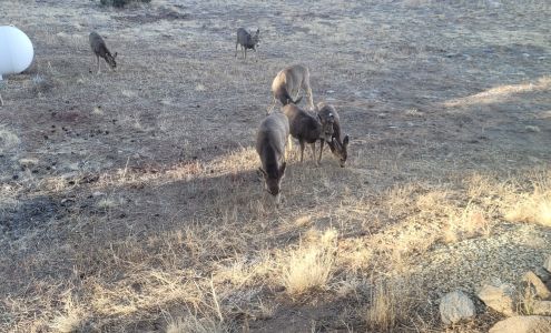 Jimmy Houston Marine Park Hill