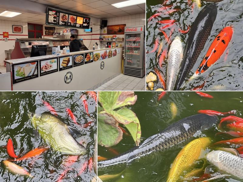 The Master Chippy Chinese take away &fish &chip