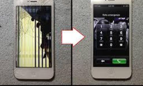 Gator Computers LLC: Mc Neel Billy G CPA