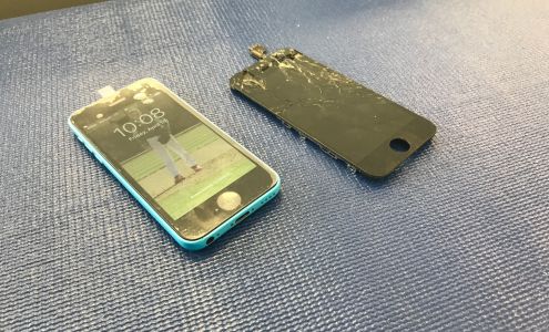 Fruit Fixed Colonial Heights